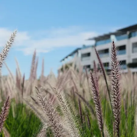 Del Mar Village, T1 , Acor